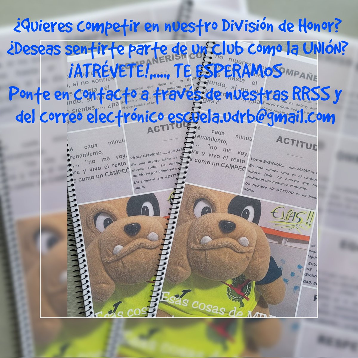 Incorpórate a nuestro Club y ten la oportunidad de jugar en un División de Honor Juvenil.
Solo prometemos TRABAJO, COMPROMISO, ESFUERZO, COMPETITIVIDAD Y MEJORA CONTINUA.
Ven a comprobar que esto no va sólo de COMPETIR al límite. 
Tú decides,..., ¡ESTO es la UNIÓN!