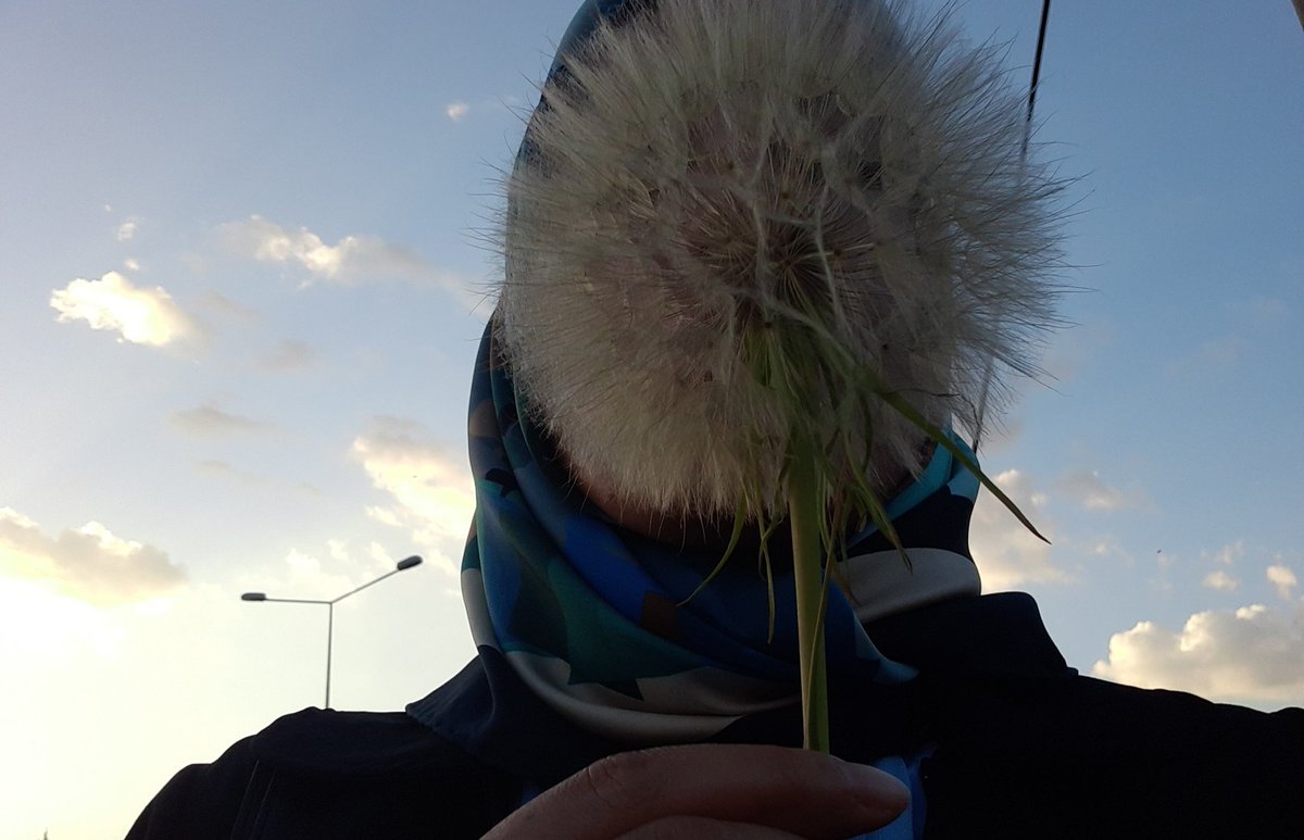 Sûrete aldanan, hakîkati ıskalar.