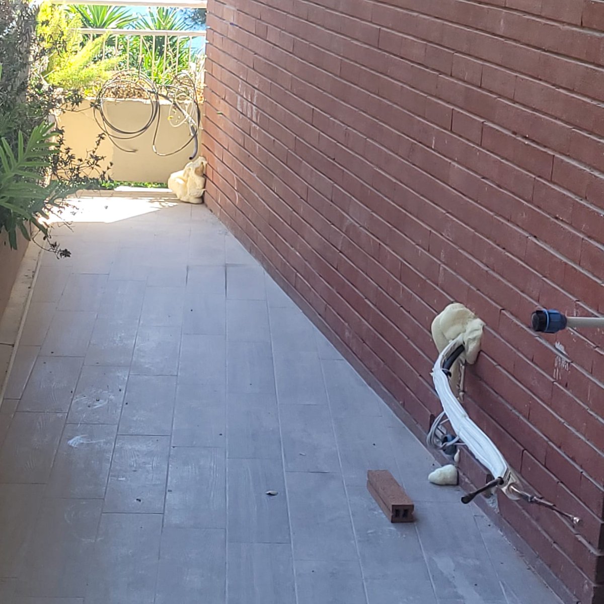 ColorflooringS's tweet image. 📷 Basta sprechi di energia!
Con l’insufflaggio a schiuma poliuretanica, isoli la tua casa in modo rapido, pulito ed efficace!

colorflooring.it
📷 Contattaci per info e preventivi! +39 0828 354702
#IsolamentoTermico #Insufflaggio #SchiumaPoliuretanica #RisparmioEnergetico