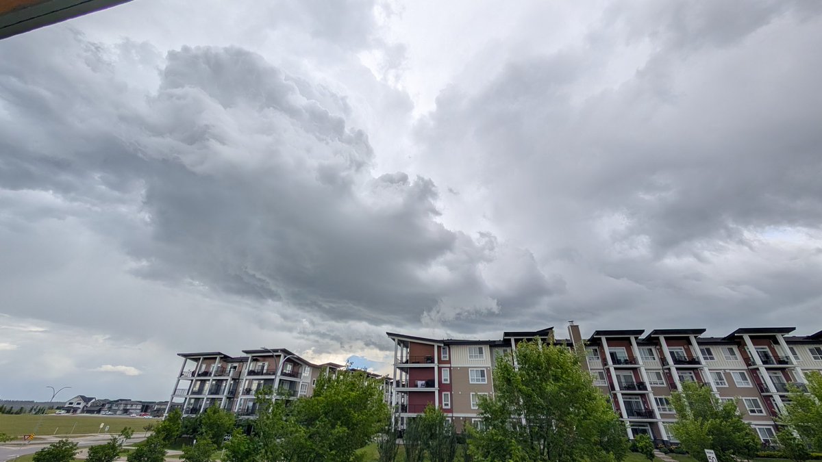 Chris LeDrew tweet media