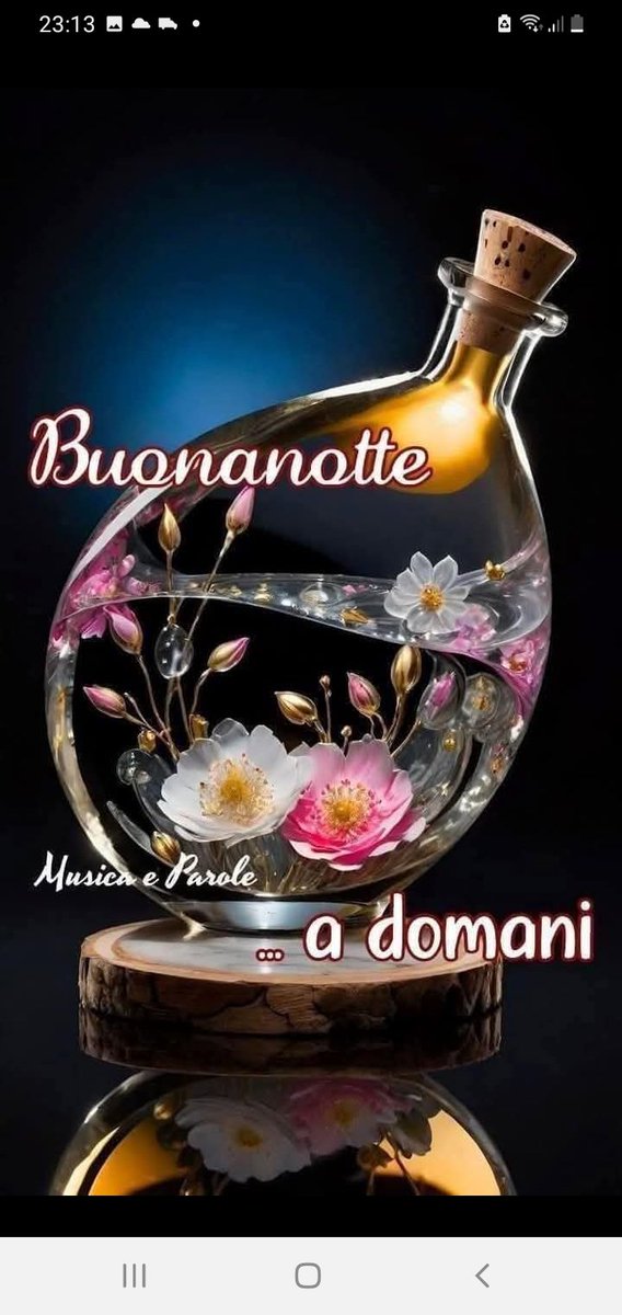 ❣💞❣Each of us has two lives, one who lives, the other one who dreams. Goodnight, see you tomorrow. ❣💞❣