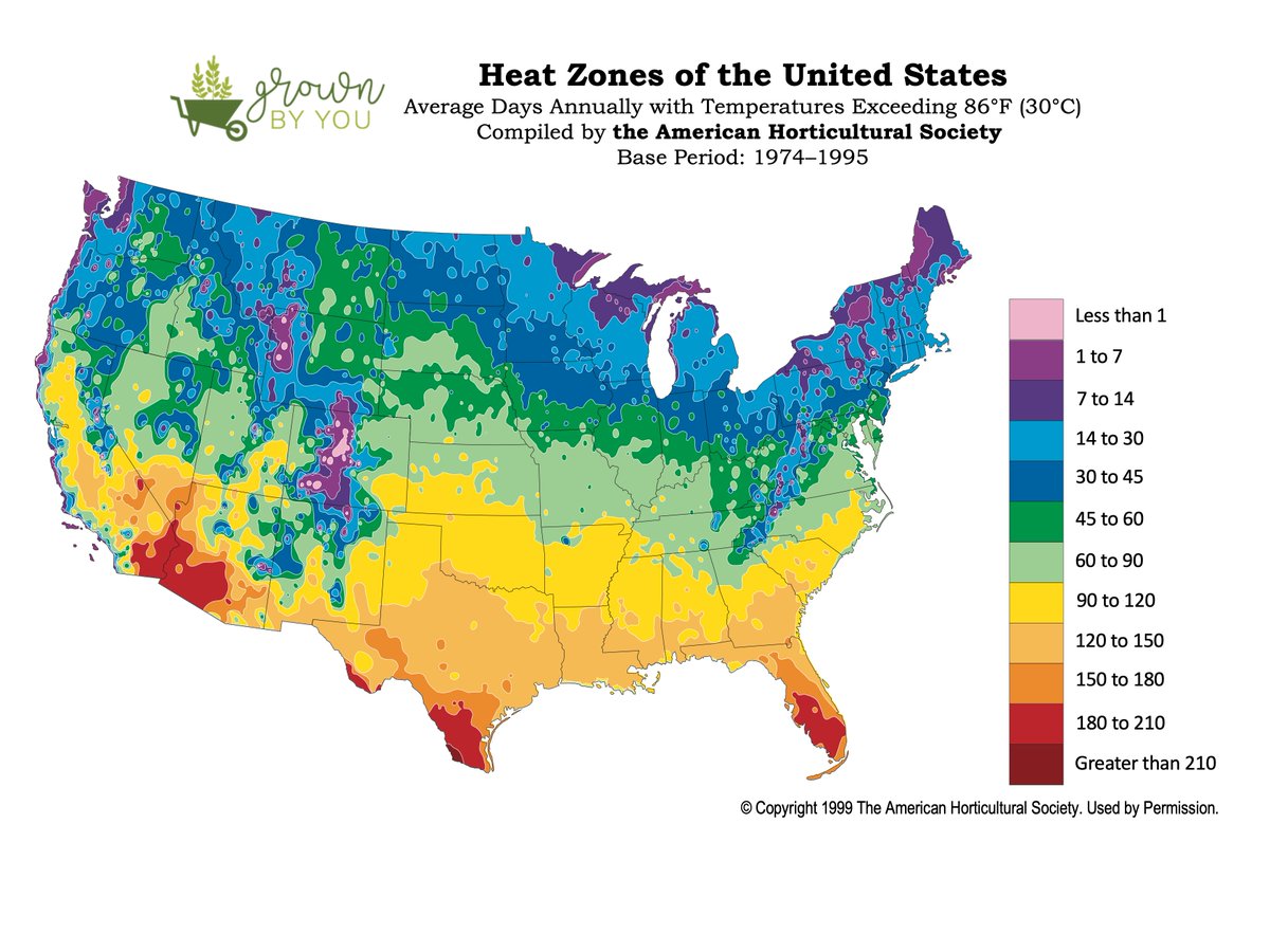 Sustained long periods of heat—above 100°F (38°C) for as little as four hours for some species—will stunt, scorch, or kill your plants as surely as a hard freeze. Plants do everything they can to survive heat waves. They close the tiny stomata pores in their foliage to hold