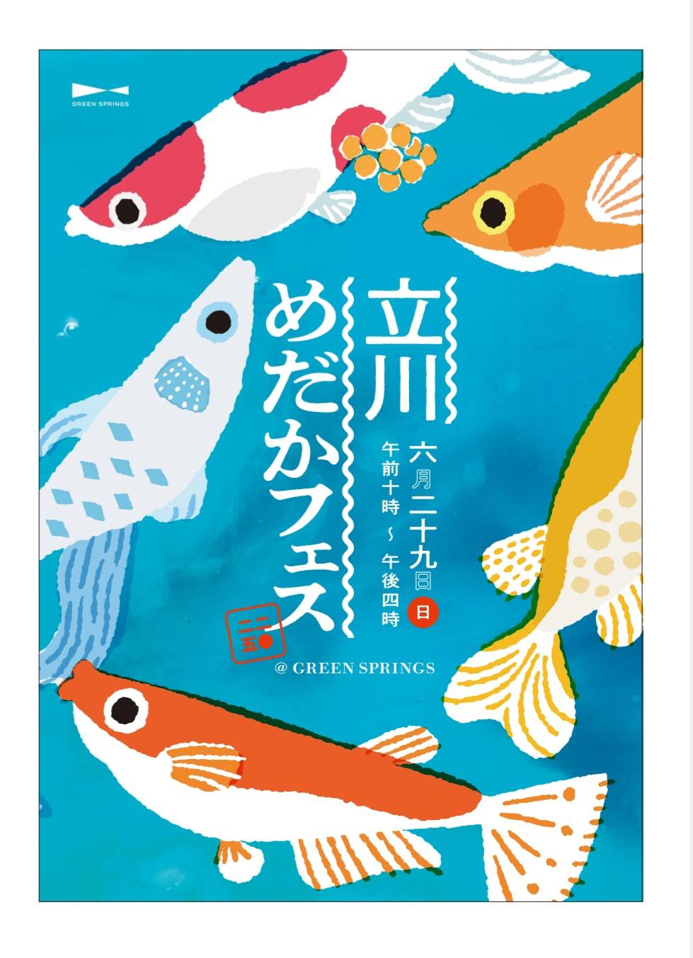 てつメダカ メダカ「エメキン」4匹セット[52210998] | 埼玉県飯能市