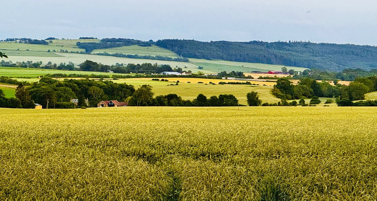 No solar panels. Just prime farmland. The way it should be.