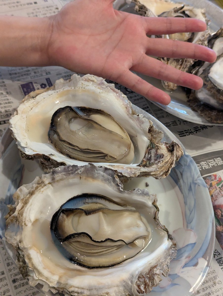ひたすらイワガキを食べる
