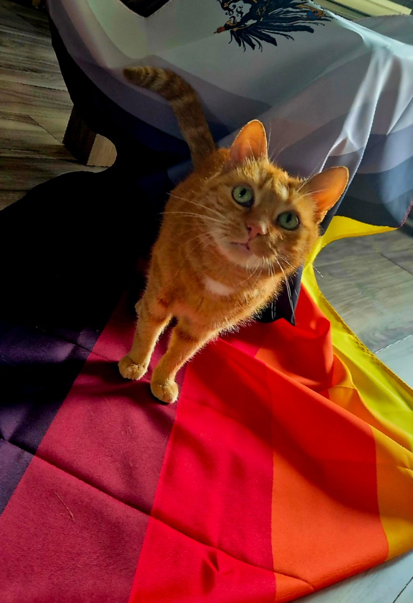 Atem_ens's tweet image. Frohen #Stolzmonat 🇩🇪❤️
#Stolzmonat2025