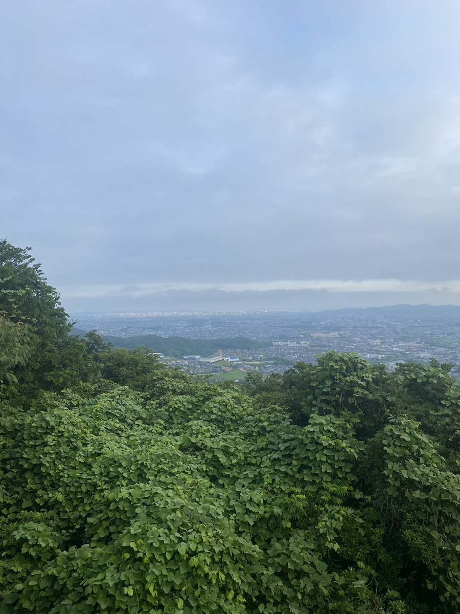 健康優良児すぎるキャス氏は
朝から山に登りました🗻