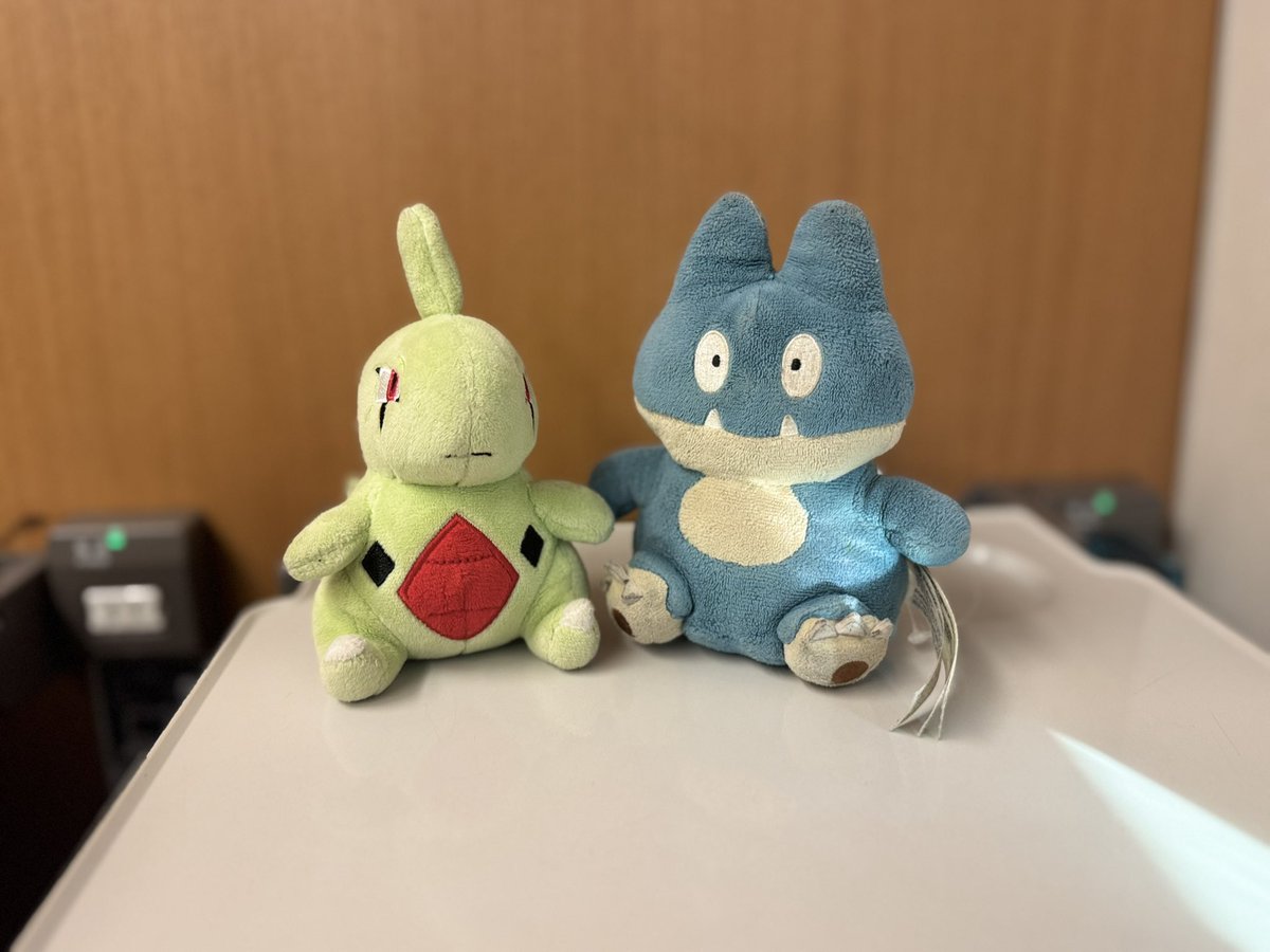 yochanmui's tweet photo. おはようみなさん。今日は、旅行日。仲良く行きます。さぁ、どんなことがあるのかな？　#桜島フェリー　のインフルエンサーの結果どうなるかな？来月末には、わかるから。
#ぬい活　#ぬい撮り #ゴンちゃん　#ゴンベ #ヨーギラス https://t.co/wu4hsuNIMA