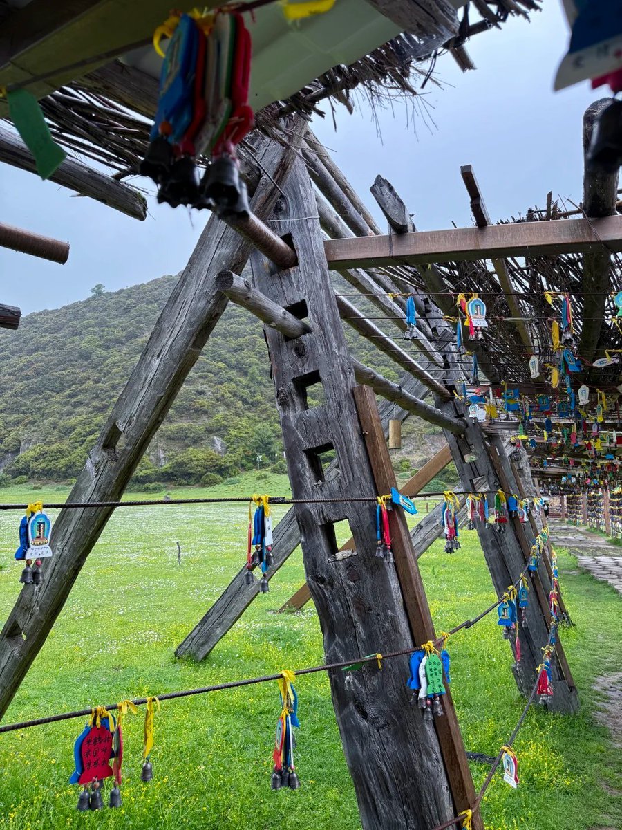 青春を後悔の中に置き去りにしないで。🥰