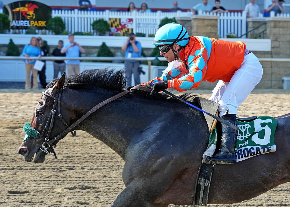 The Maryland Jockey Club, Inc. (@laurelpark) on Twitter photo Subrogate, son of Arrogate, captured the Frank J De Francis Dash Memorial for trainer <a href="/JorgeDuarteCNS/">Jorge Duarte Jr</a> with Horacio Karamanos! Subrogate, son of Arrogate, captured the Frank J De Francis Dash Memorial for trainer <a href="/JorgeDuarteCNS/">Jorge Duarte Jr</a> with Horacio Karamanos!