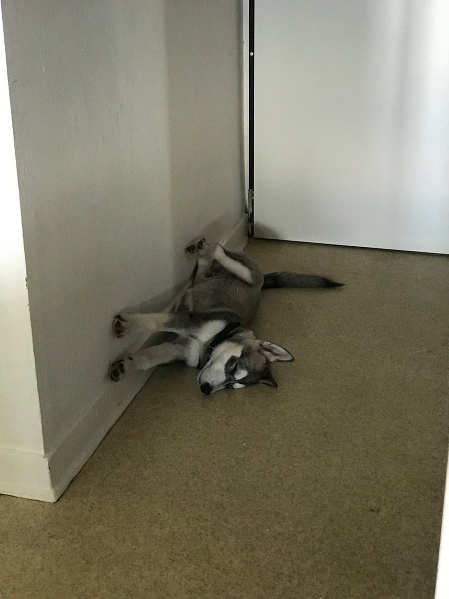 Nyoko Ono tweet media