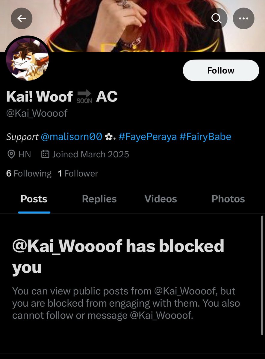 Kai! Woof 🔜 🎾 tweet media