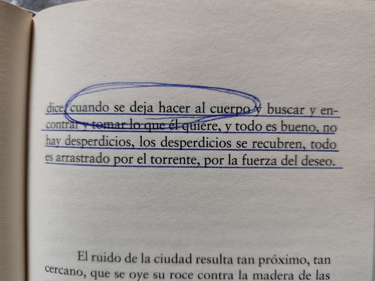 cerocolapsando tweet picture