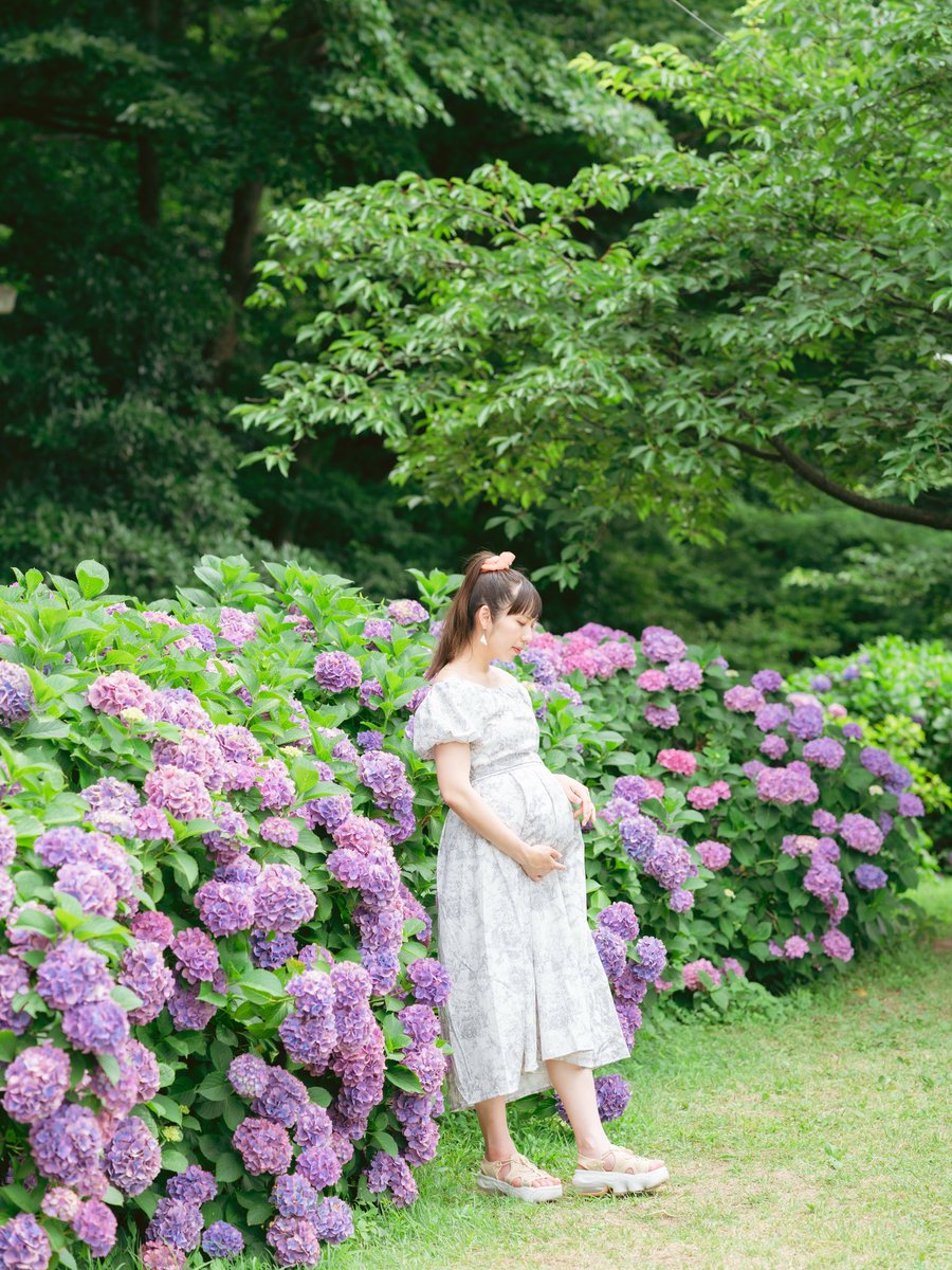 m9aiim29a's tweet photo. もうすぐだね https://t.co/oEyV5TGaEa