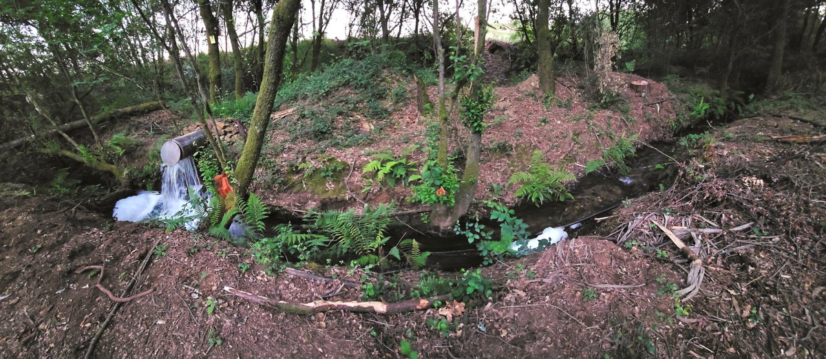 Primeiro autorizaronlles o vertido, logo a tala de árbores, agora o vertido sin control de caudal e espumas polo río abaixo
#stopimpunidade #minatouroopinonon
