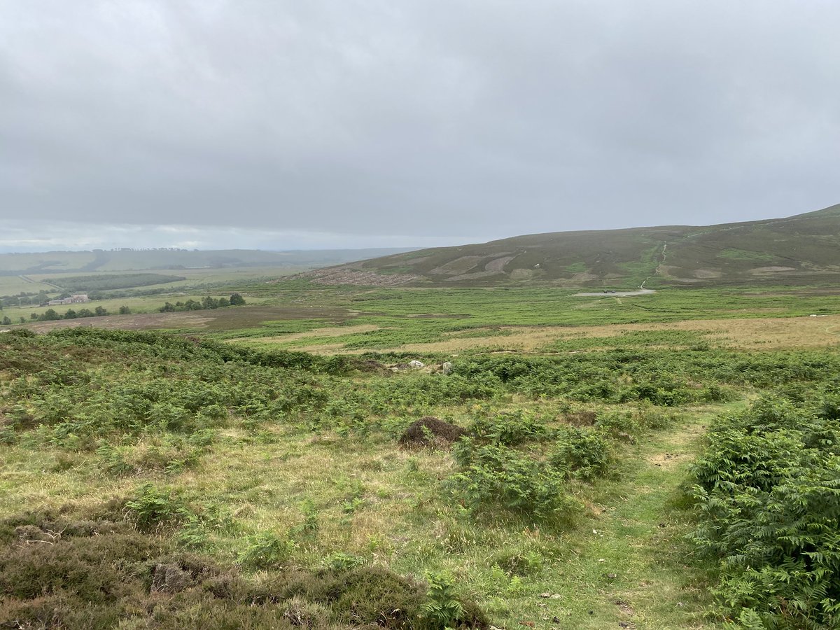 AliDriverUK's tweet image. Had a really enjoyable speaking gig today at the What a Wonderful World festival in Alnwick, Northumberland, preceded by a return to the fantastic #Hepple Wilds site near #Rothbury. This corner of England is becoming a beacon of hope for nature recovery.