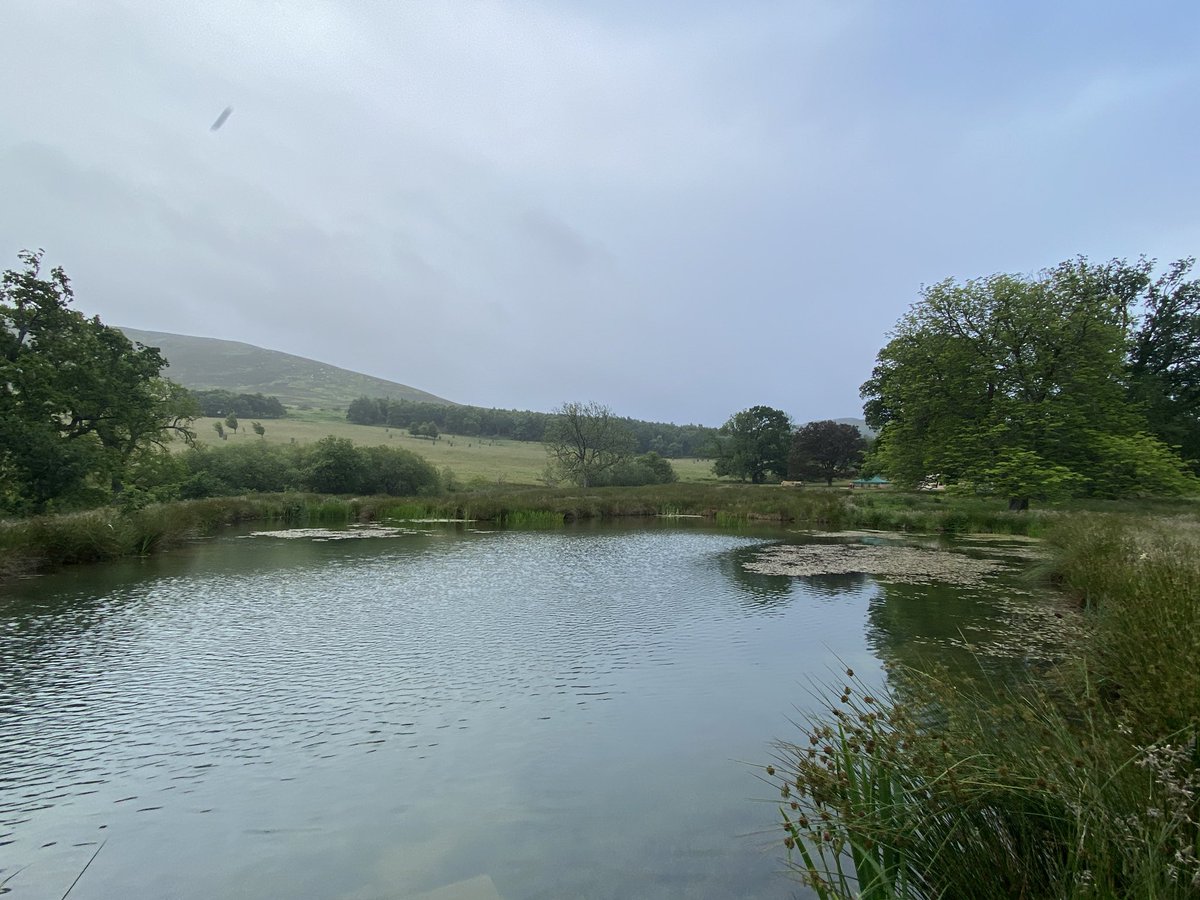 AliDriverUK's tweet image. Had a really enjoyable speaking gig today at the What a Wonderful World festival in Alnwick, Northumberland, preceded by a return to the fantastic #Hepple Wilds site near #Rothbury. This corner of England is becoming a beacon of hope for nature recovery.