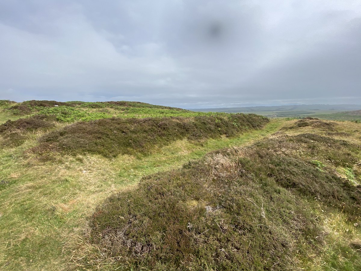 AliDriverUK's tweet image. Had a really enjoyable speaking gig today at the What a Wonderful World festival in Alnwick, Northumberland, preceded by a return to the fantastic #Hepple Wilds site near #Rothbury. This corner of England is becoming a beacon of hope for nature recovery.