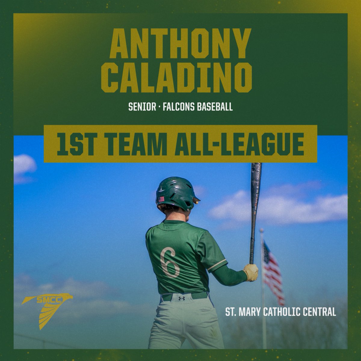 Congratulations to Anthony Caladino for earning 1st Team All-League honors in baseball this spring. #GoFalcons