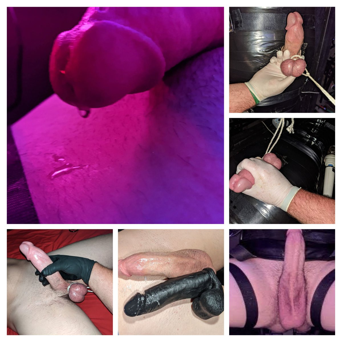 Sir: looking at albums you can't miss the obscene number of beta dick pics I have. It's so f**king massive, thick &amp; hard as steel. He said that actually just seeing Alpha or I when we first get home makes him leak. 😈 Good boy.  He's a drippy mess when he gets to the room.