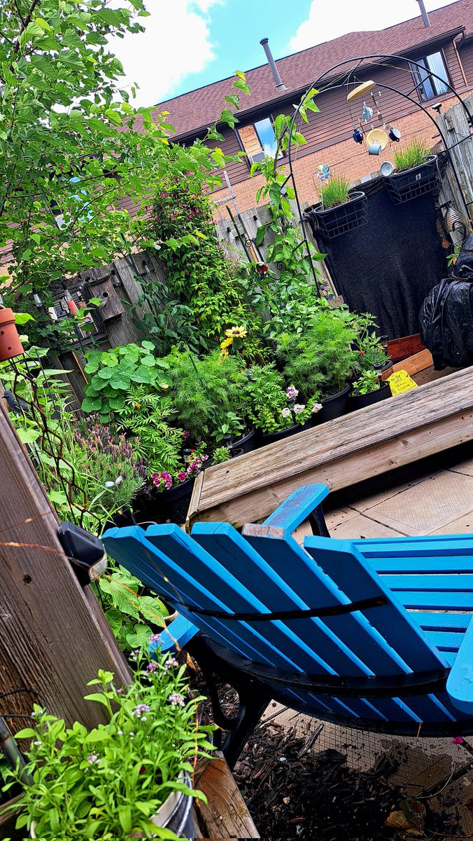 InkedDeviant's tweet photo. Backyard Views...My Happy Place.

Damn Pool Sprung A Leak &amp; Flooded My Backyard...

#tinyoasis https://t.co/yGrKMOD6nB