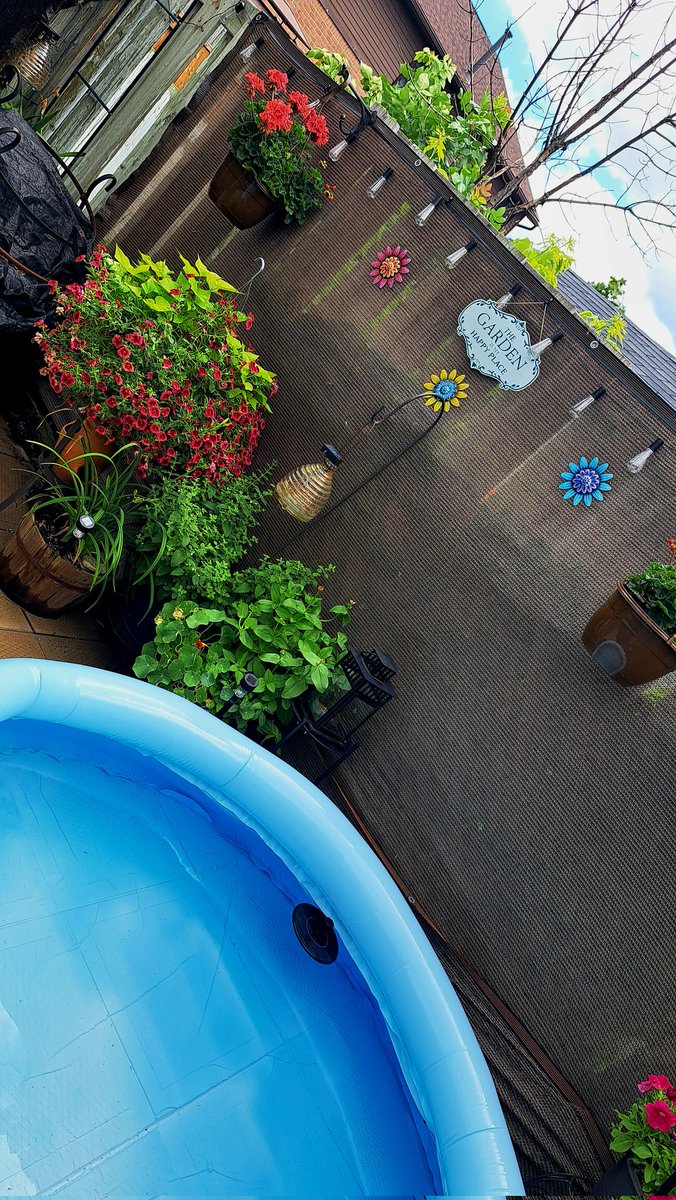 InkedDeviant's tweet photo. Backyard Views...My Happy Place.

Damn Pool Sprung A Leak &amp; Flooded My Backyard...

#tinyoasis https://t.co/yGrKMOD6nB