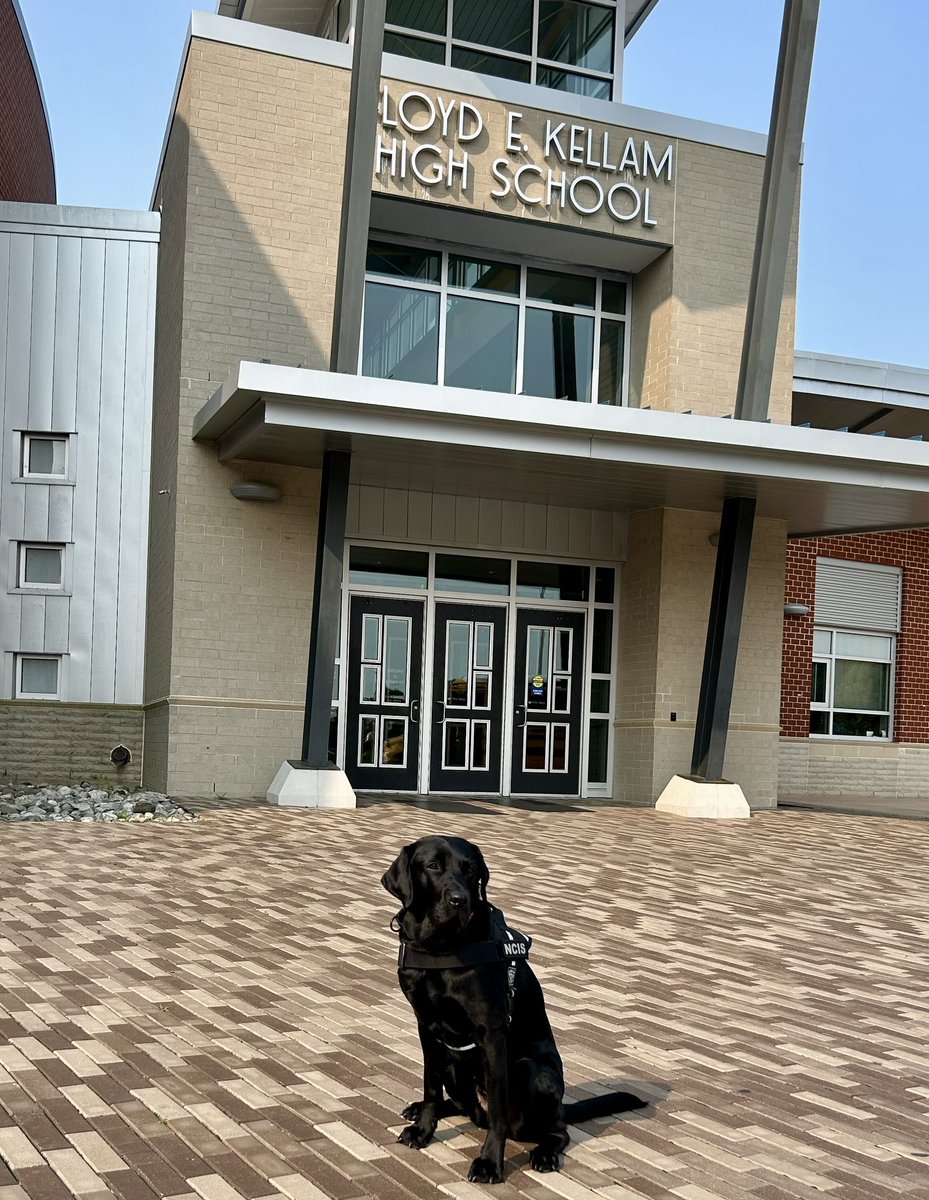 NCIS (@realncis) on Twitter photo #NCIS K9 Jill & SA Lawhorn visited <a href="/KellamHigh/">Kellam High School</a> in VA Beach to brief biology students on the NCIS mission & demo K9 search skills. A great blend of science, security & outreach! #K9Jill #ESDK9 #STEMEducation #MissionReady #NCIS K9 Jill & SA Lawhorn visited <a href="/KellamHigh/">Kellam High School</a> in VA Beach to brief biology students on the NCIS mission & demo K9 search skills. A great blend of science, security & outreach! #K9Jill #ESDK9 #STEMEducation #MissionReady