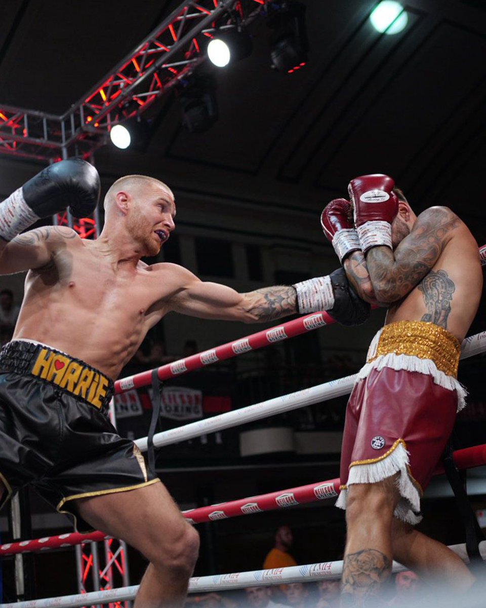 NeilsonBoxing's tweet photo. Tom Brennan takes the win and immediately throws down the challenge to newly Southern Area Champion @billystanbury π
Will he accept?
WATCH IT LIVE -
https://t.co/qI8zmrI9E3
#RiseToGlory #NeilsonBoxing #TM14Promotions #talkSPORTBoxing #SecondsOut https://t.co/qwz87z3JnX