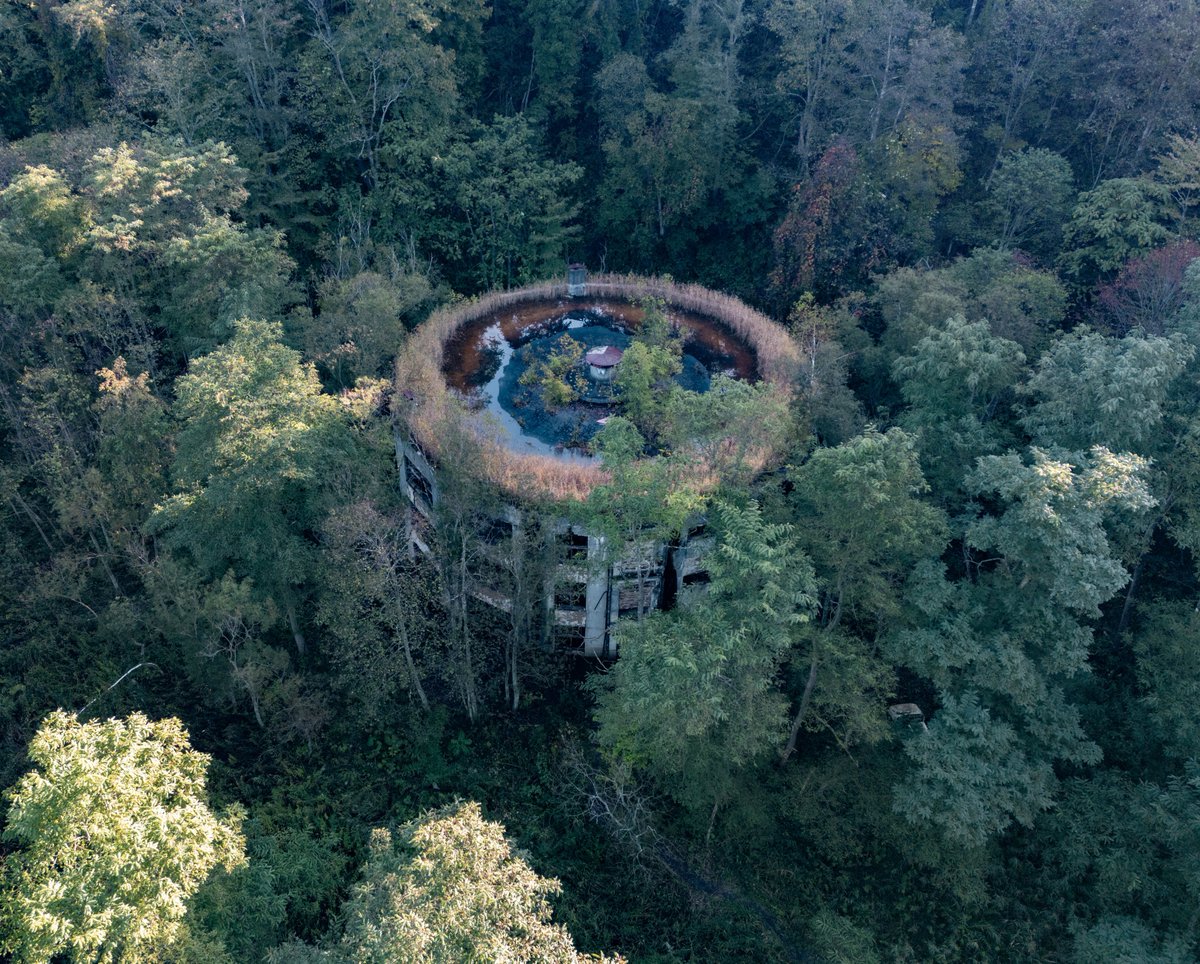 深い森に沈む円形校舎の廃墟、マジで廃墟の佇まいとして完成された美しさだと思う