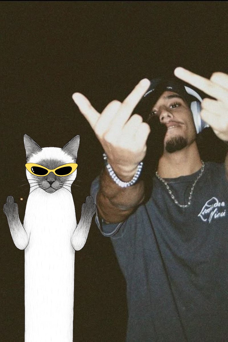 sharkbunny_'s tweet photo. i ain't chasin bags, i'm stretchin stacks
my cat long like the torso never snaps
$CWULT on my chain, paws on the map
cult so deep, even doge took a nap 😼
#CWULT #LongCatLegend #CryptoBars https://t.co/GGzopNYASE