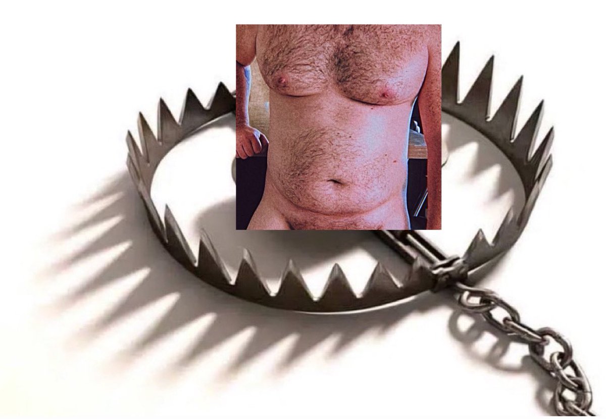 Leo, o parrudin 🔞🐻 tweet media