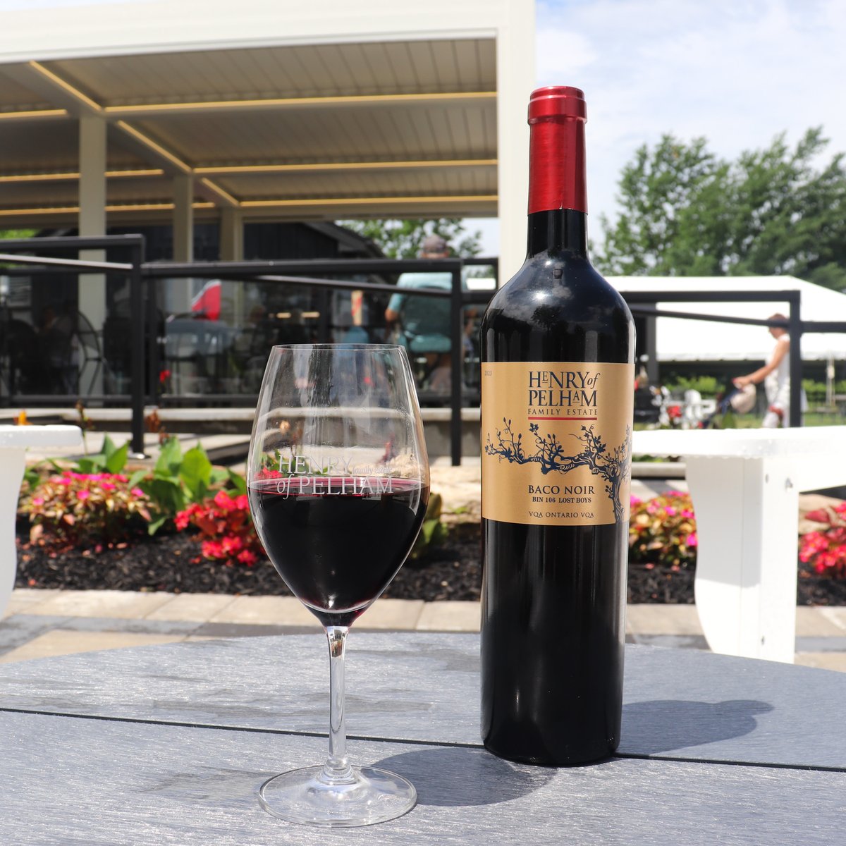 2023 Bin 106 Baco Noir has arrived! Come by for a taste this weekend as part of our Baco &amp; Berries event, learn more here: bit.ly/3ZY1MXa