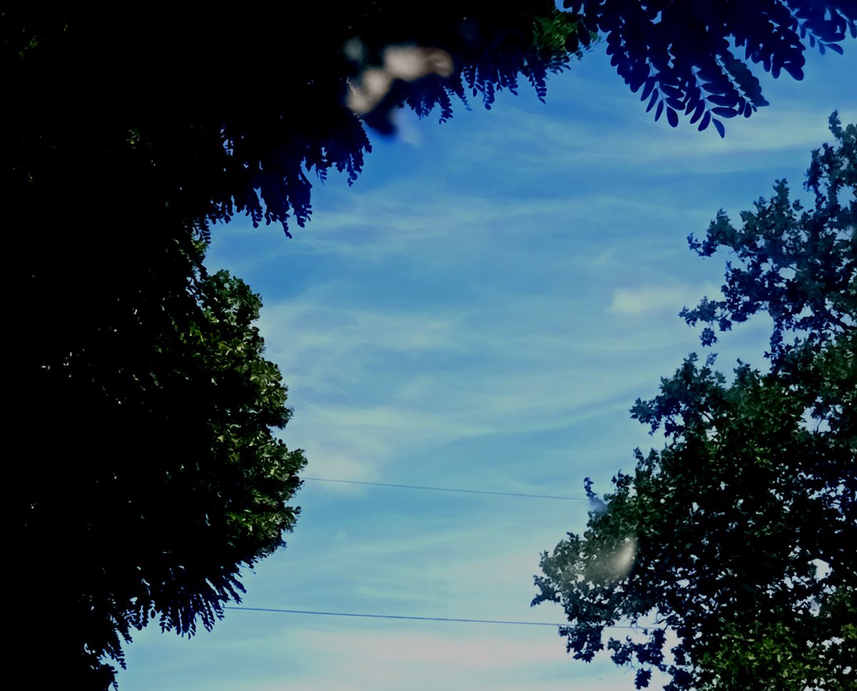 Катерина Галич tweet media