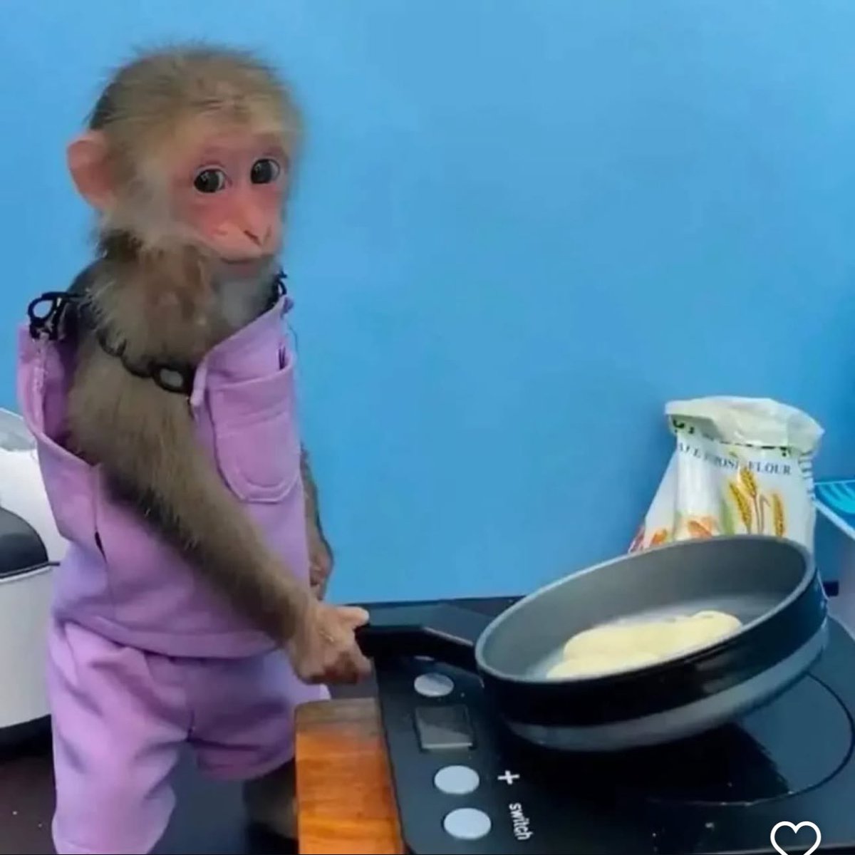 monke mode
