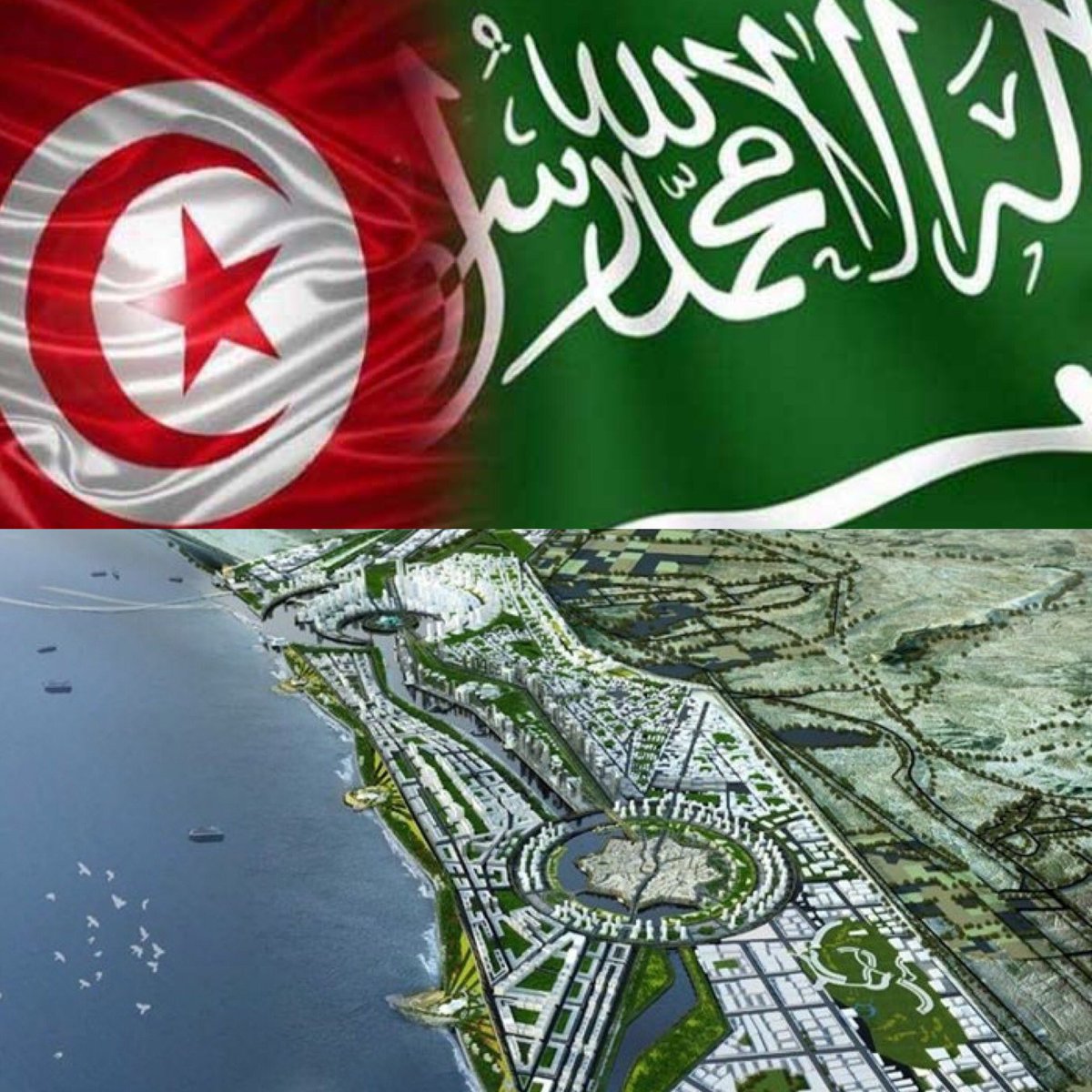 المملكة العربية #السعودية تمنح قرضاً تنموياً بقيمة تتجاوز 38 مليون دولار لجمهورية تونس 

التفاصيل:

منحت السعودية قرضاً تنموياً بقيمة تتجاوز 38 مليون دولار للجمهورية التونسية، من أجل تمويل تنفيذ مشروعات ذات علاقة بالبنية التحتية.

المشروع الذي حظي بتمويل سعودي يستصلح الأراضي