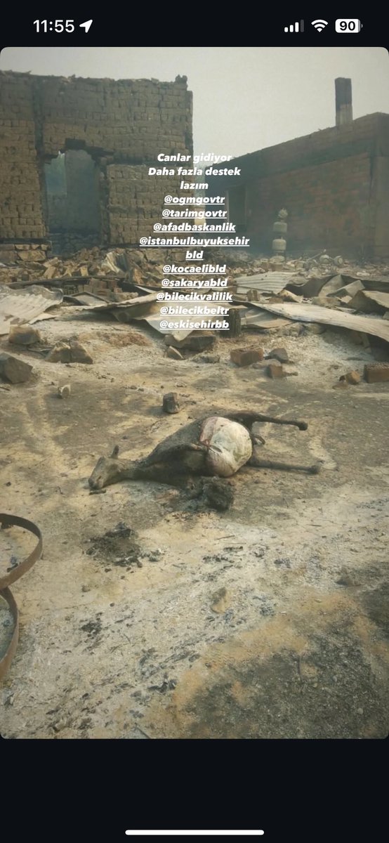 Arkadaşlar konudan çok bağımsız ama yardımınıza ihtiyacımız var. 3. güne giriyoruz Bilecikte çok büyük orman yangını var. Ekipler yetişemiyor, halk yetişemiyor. Sosyal medyada sesimizi duyuramıyoruz. 2 köy yandı onlarca köy boşaltıldı. Destek olur musunuz? #bilecikyanıyor #yangın