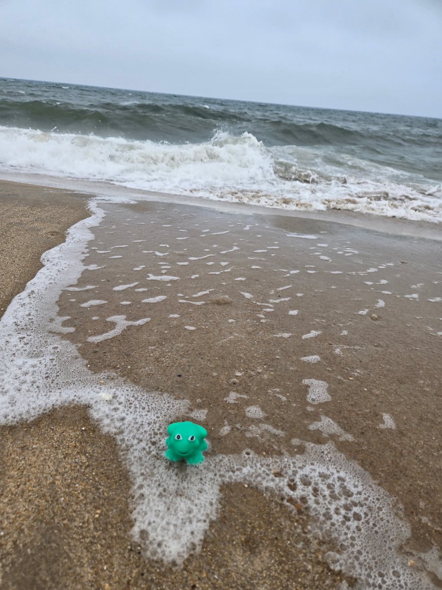 Mrs. Henry and Mrs. Allison hung out at Ocean City MD for a relaxing week at the beach with Ribberto!