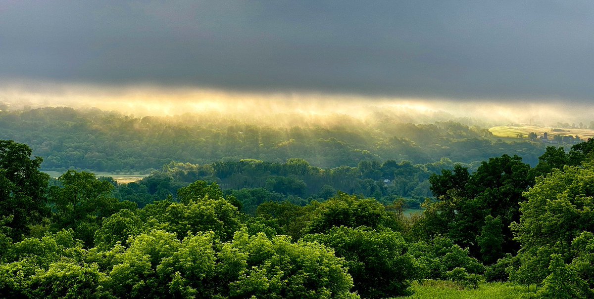 📸VineyardWarrior📸 tweet media