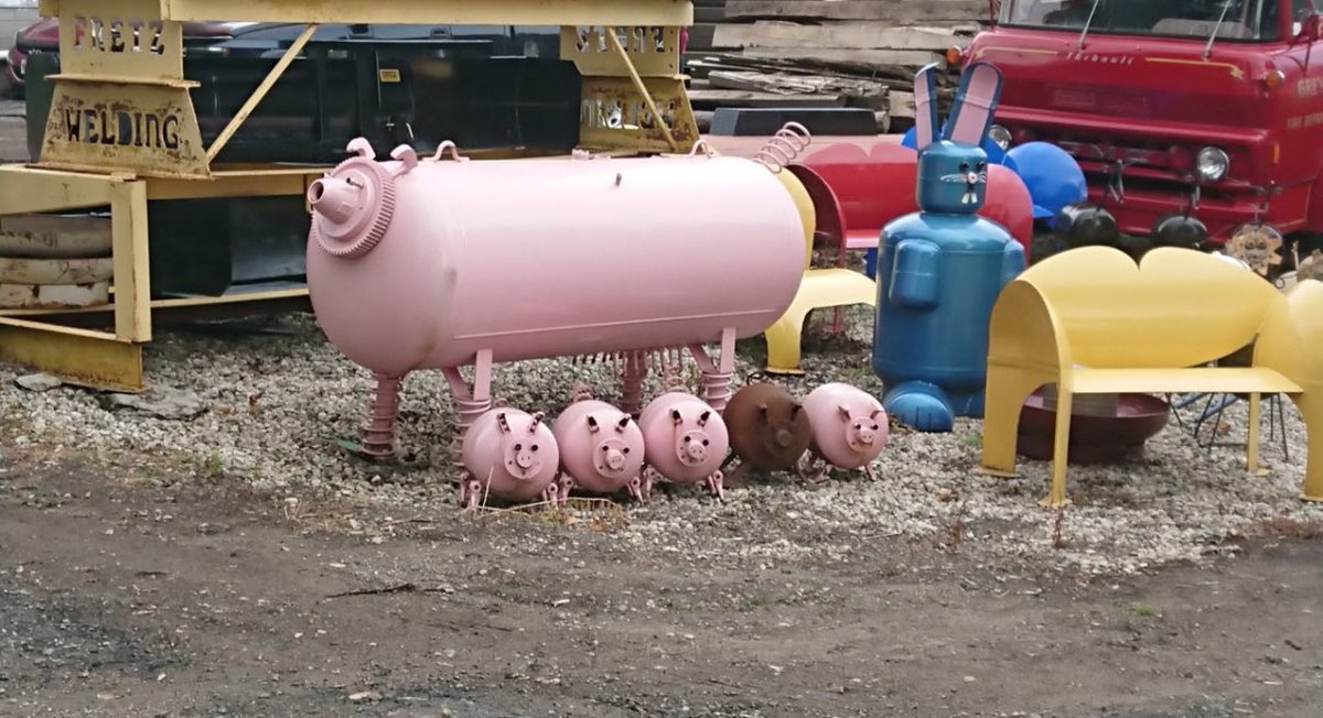 equine__dentist's tweet image. propane tank pig family