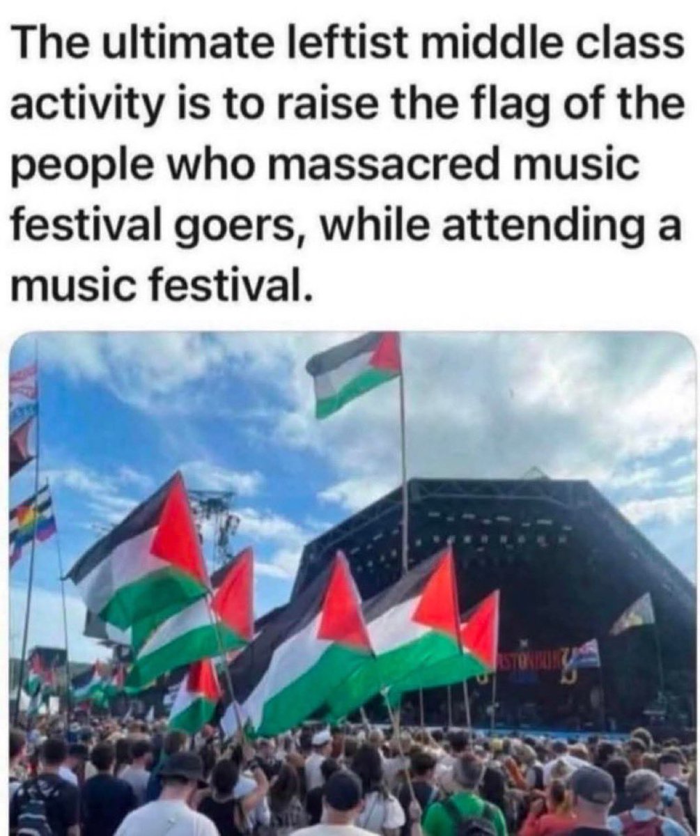 Nothing says white privilege like a group of middle class white people at a music festival waving the Palestinian flags.