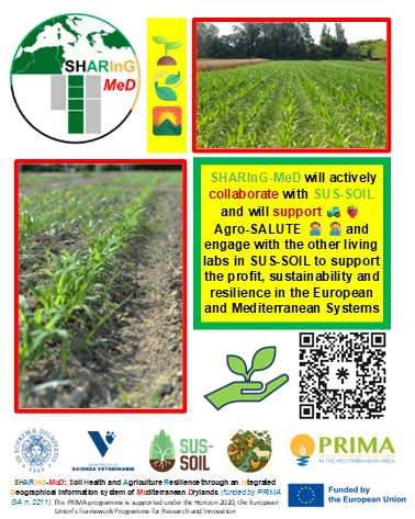 SharingMed - Soil Health & Agriculture Resilience (@sharingmed) on Twitter photo The <a href="/SUSSOIL/">SUS-SOIL</a> 🌱 WP leaders visiting the SHARInG-MeD experimental field 🚜on organic amendment and beneficial microbes on the Pisa: 20th June 2025
#SUSSOIL is a #Horizon project and #SHARInGMeD is funded by <a href="/PrimaProgram/">PRIMA Program Mediterranean Partnership 🇪🇺</a>
Follow us: linktr.ee/sharingmed
#agriculture The <a href="/SUSSOIL/">SUS-SOIL</a> 🌱 WP leaders visiting the SHARInG-MeD experimental field 🚜on organic amendment and beneficial microbes on the Pisa: 20th June 2025
#SUSSOIL is a #Horizon project and #SHARInGMeD is funded by <a href="/PrimaProgram/">PRIMA Program Mediterranean Partnership 🇪🇺</a>
Follow us: linktr.ee/sharingmed
#agriculture