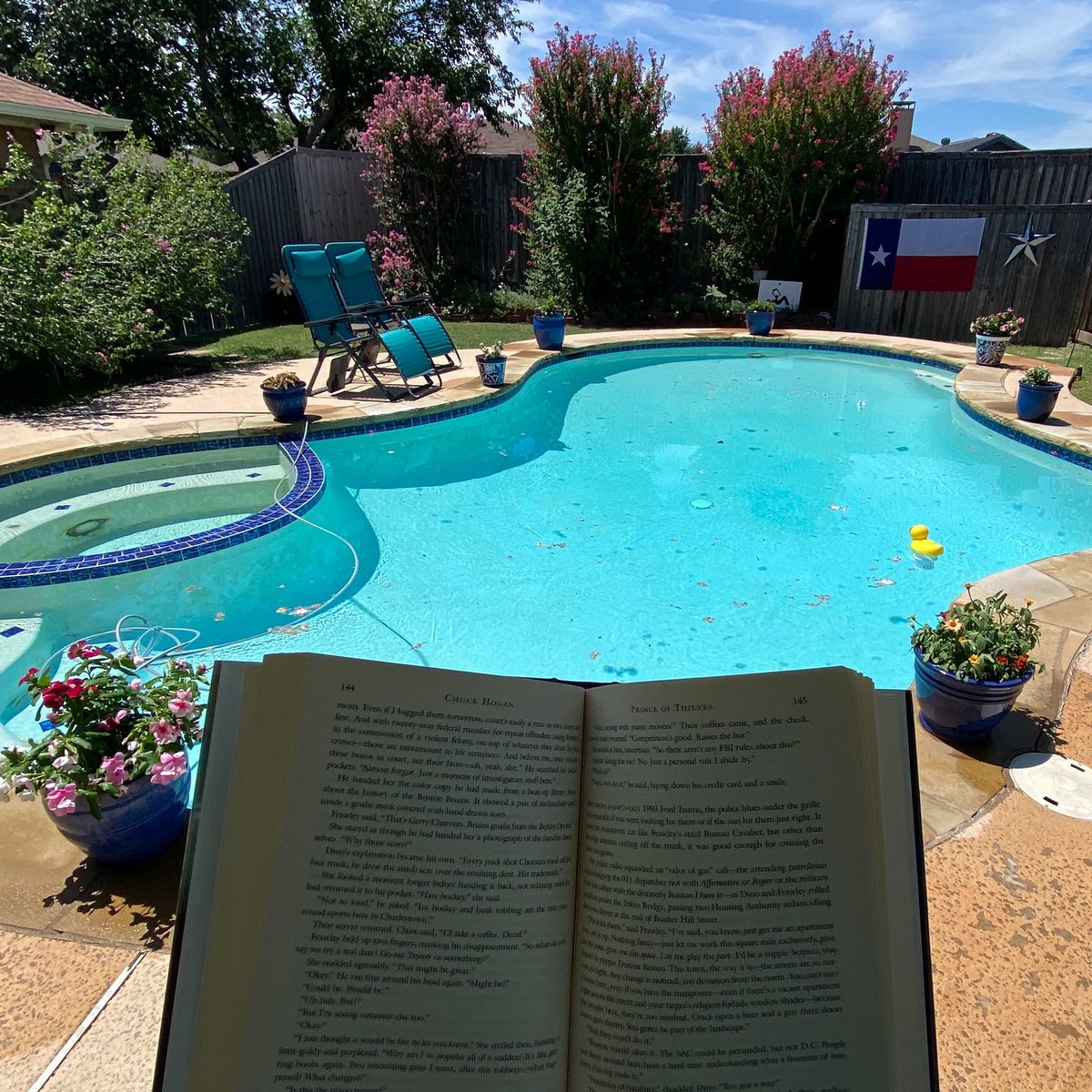 Kim Wise HamilŦon 📚🌺🌵🌮🏴‍☠️ tweet media