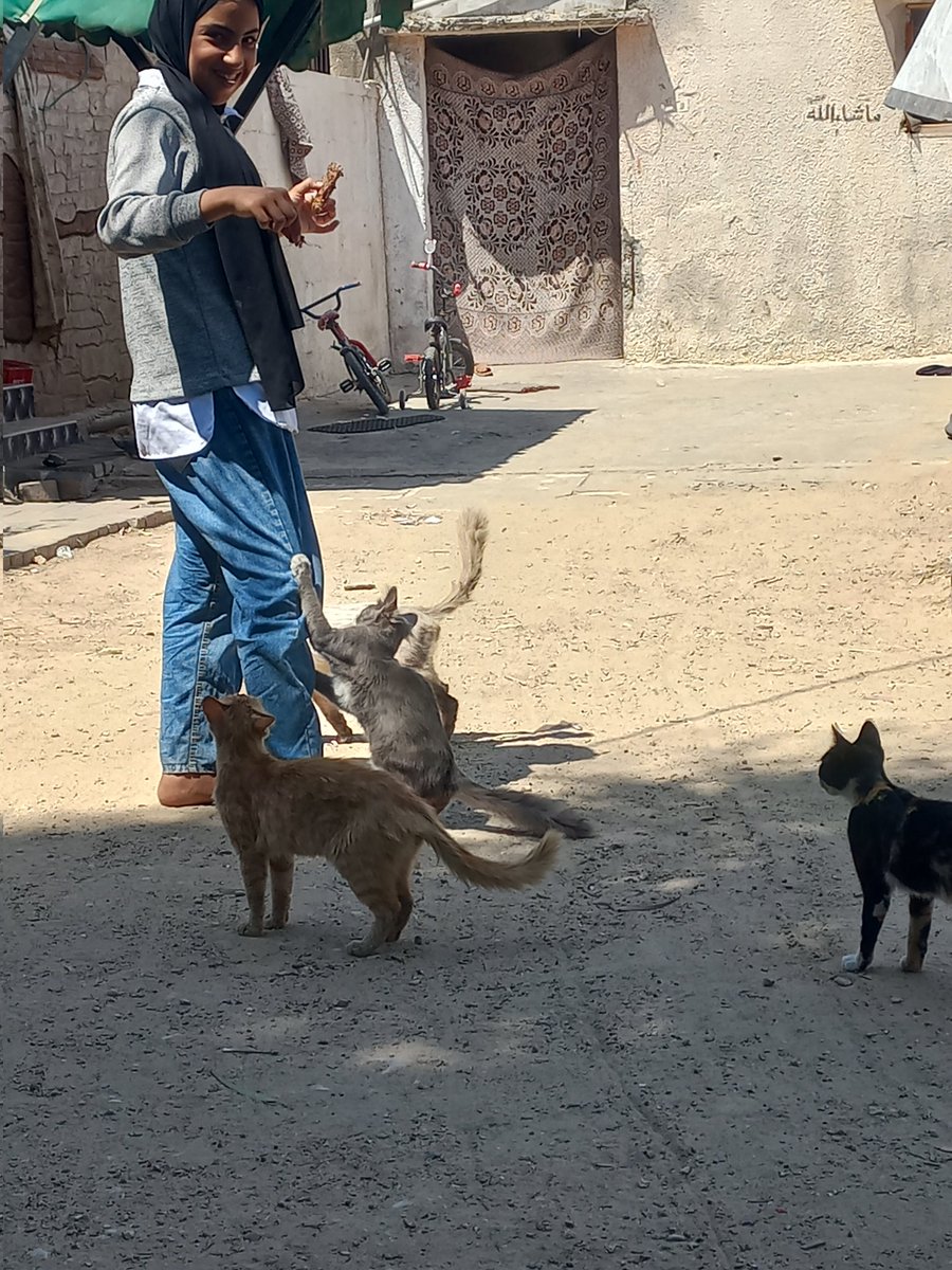 I am very happy and I taste cats 
Please donate to me and my little ones ❤❤❤❤❤❤⛔⛔⛔⛔✋