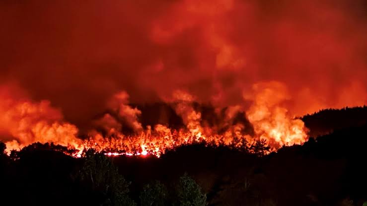 #yangın  BİLL GATES:   ''Çam ağaçlarını hiç sevmiyorum ''
YETERİ KADAR AÇIK MI ? 

Ne demiştik ..yakacaklar ,yakacaklar taş ocakları için kesecekler,maden için kesecekler ..taaa ki bitene kadar 

1 çam ağacı 80 yılda ormana dönüşüyor . yani bir insan ömrü meyvesi yok ama öyle bir