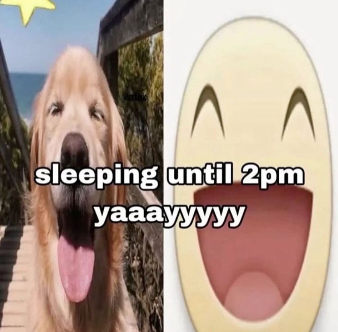 northstardoll's tweet image. 