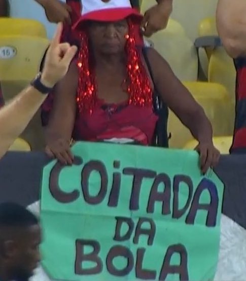 Palmeiras vs Botafogo