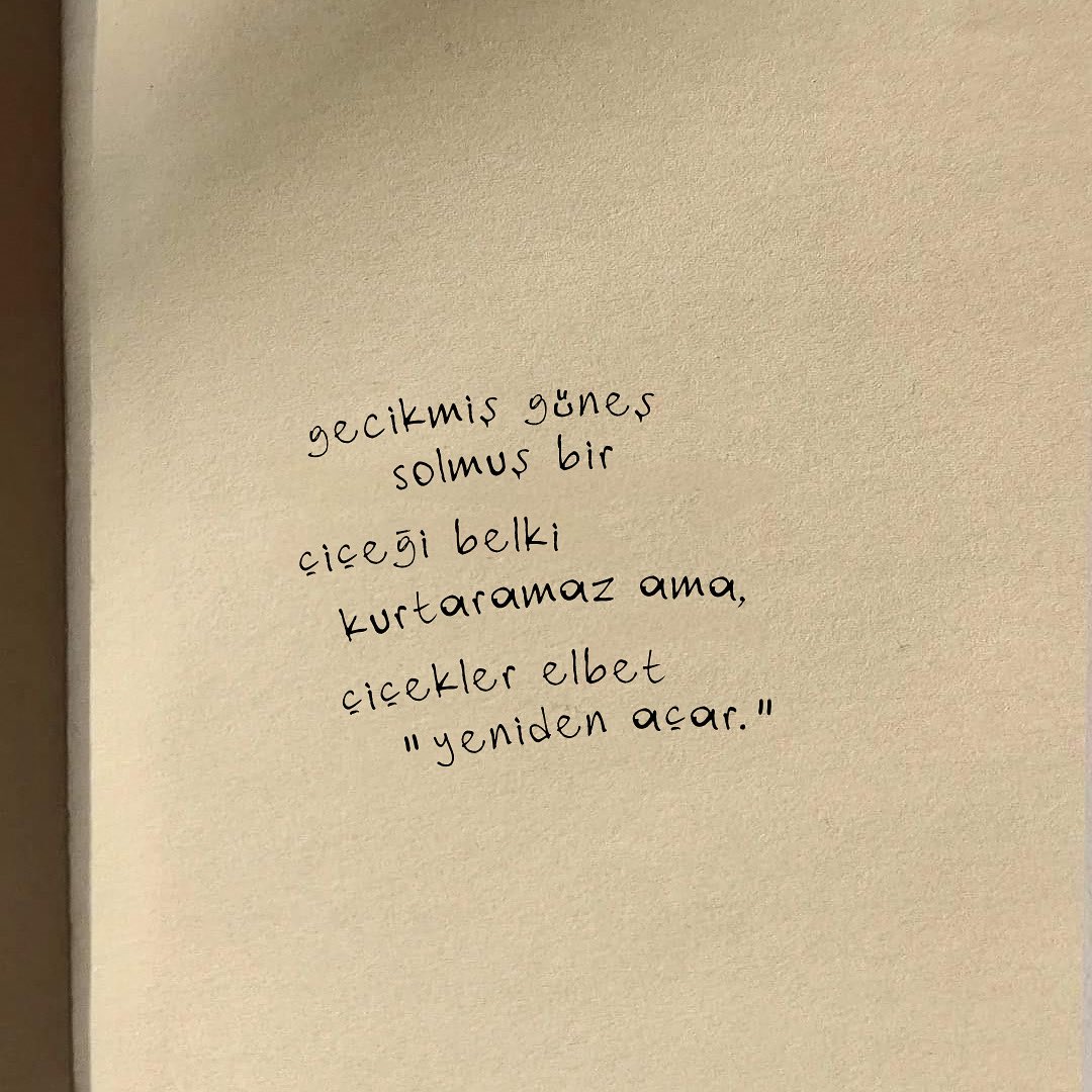 | 💮