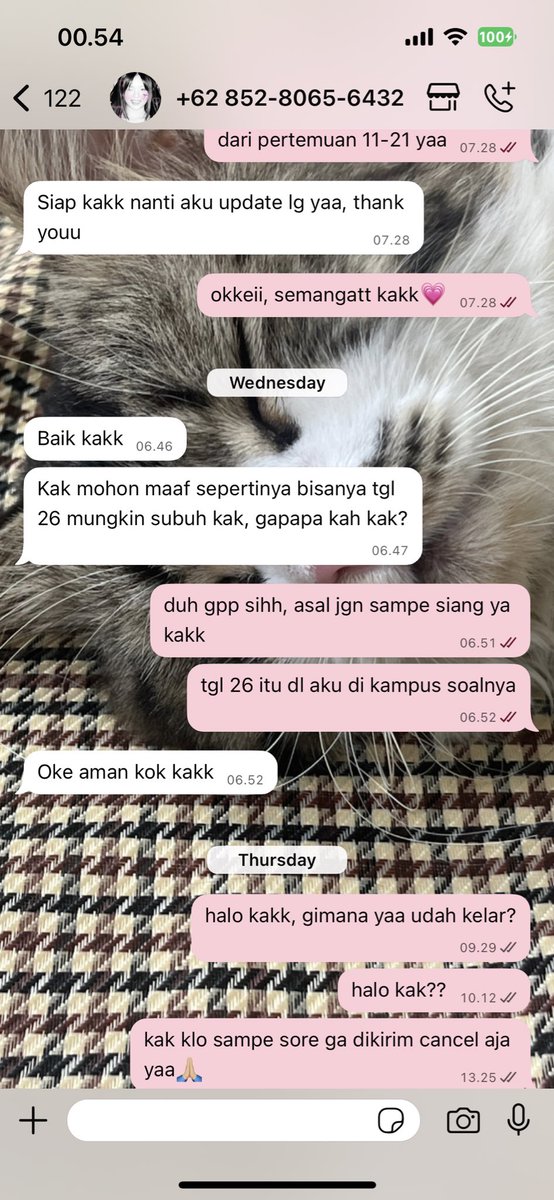 ciminxsa's tweet photo. update” ee kucing, minimal kabarin sih yaa ga lari dari tanggung jawab. untung yg ini blm payment. tiati nih yg mau joki sama beliau👌 https://t.co/fGjkbGZMoc