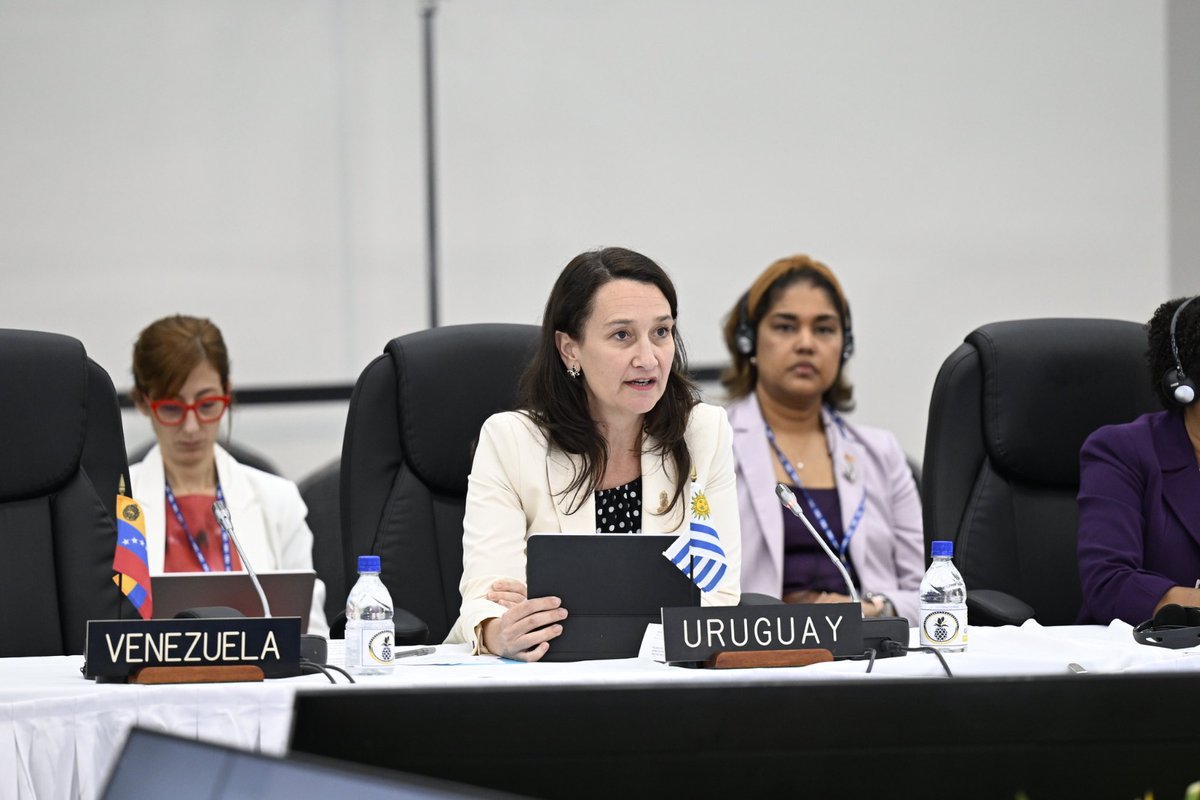 La subsecretaria de Relaciones Exteriores, Valeria Csukasi, reafirmó el compromiso de Uruguay con los principios del multilateralismo, la democracia, los derechos humanos y el desarrollo sostenible en su participación en la 55.ª Asamblea General de la <a href="/OEA_oficial/">OEA</a>, que se realizó