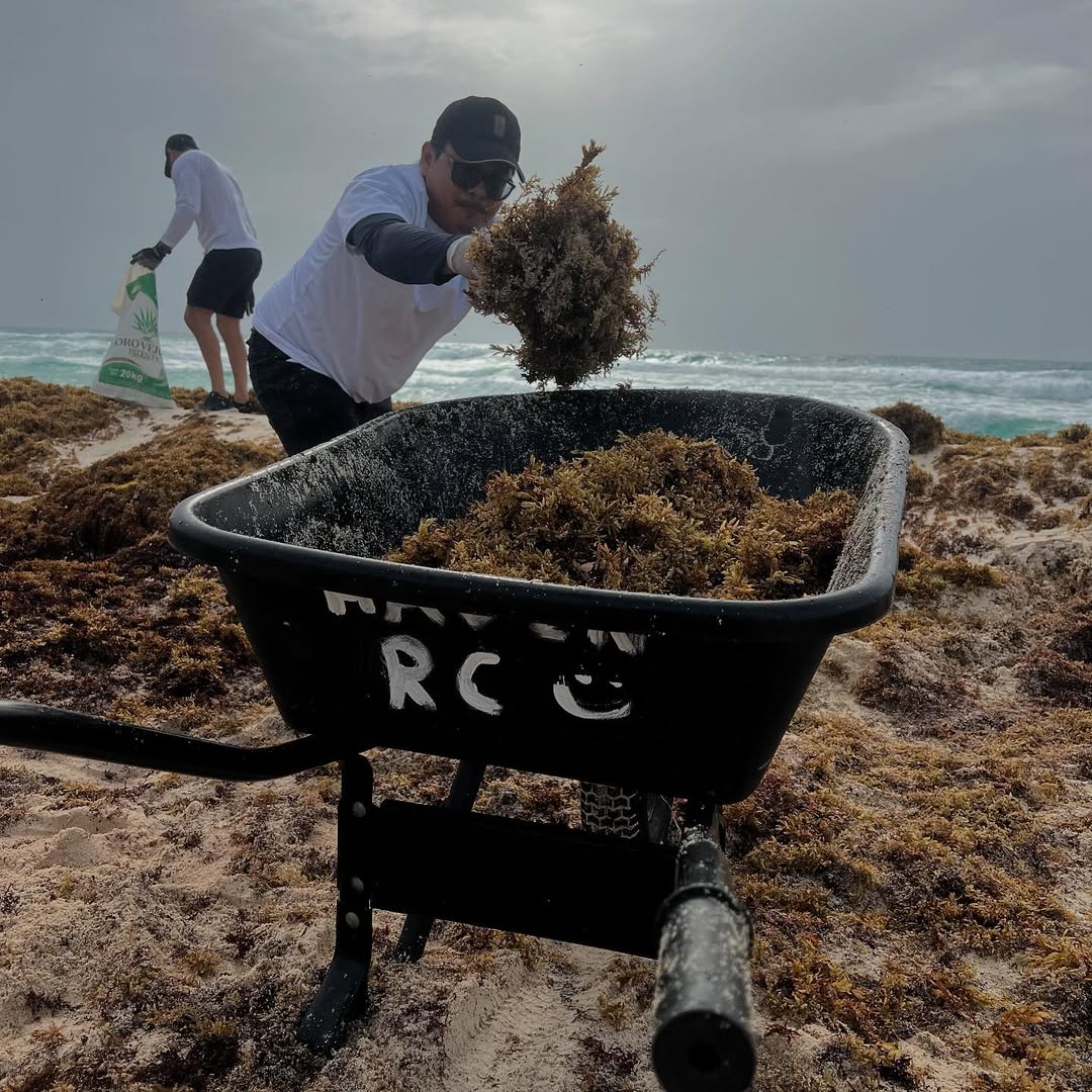 Juan Pablo De Zulueta (@jpdezulueta) on Twitter photo Desde Playa Delfines participamos en la 1ª jornada de #TodxsContraElSargazo 🌊
Gracias <a href="/anapatyp/">Ana Patricia Peralta</a> #PabloGutierrez <a href="/OscarReboraQRoo/">Oscar Rébora</a> y a todas las personas y empresas que se sumaron.
Proteger nuestras playas es una causa común.
#24Siempre #CancúnNosUne Desde Playa Delfines participamos en la 1ª jornada de #TodxsContraElSargazo 🌊
Gracias <a href="/anapatyp/">Ana Patricia Peralta</a> #PabloGutierrez <a href="/OscarReboraQRoo/">Oscar Rébora</a> y a todas las personas y empresas que se sumaron.
Proteger nuestras playas es una causa común.
#24Siempre #CancúnNosUne